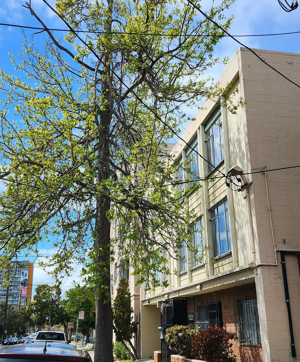1533 3rd Ave — Photo 2