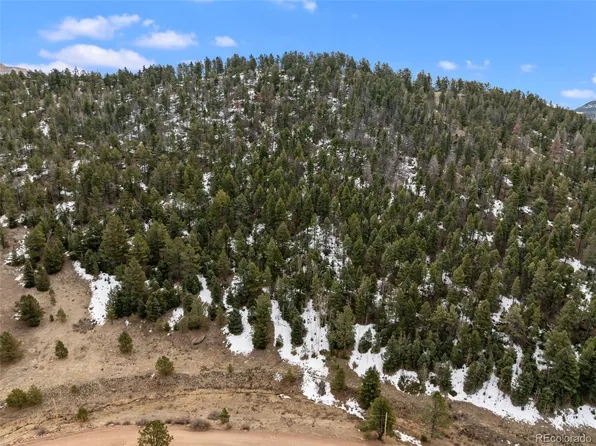 278 Penrose Circle, Florissant, CO 80816