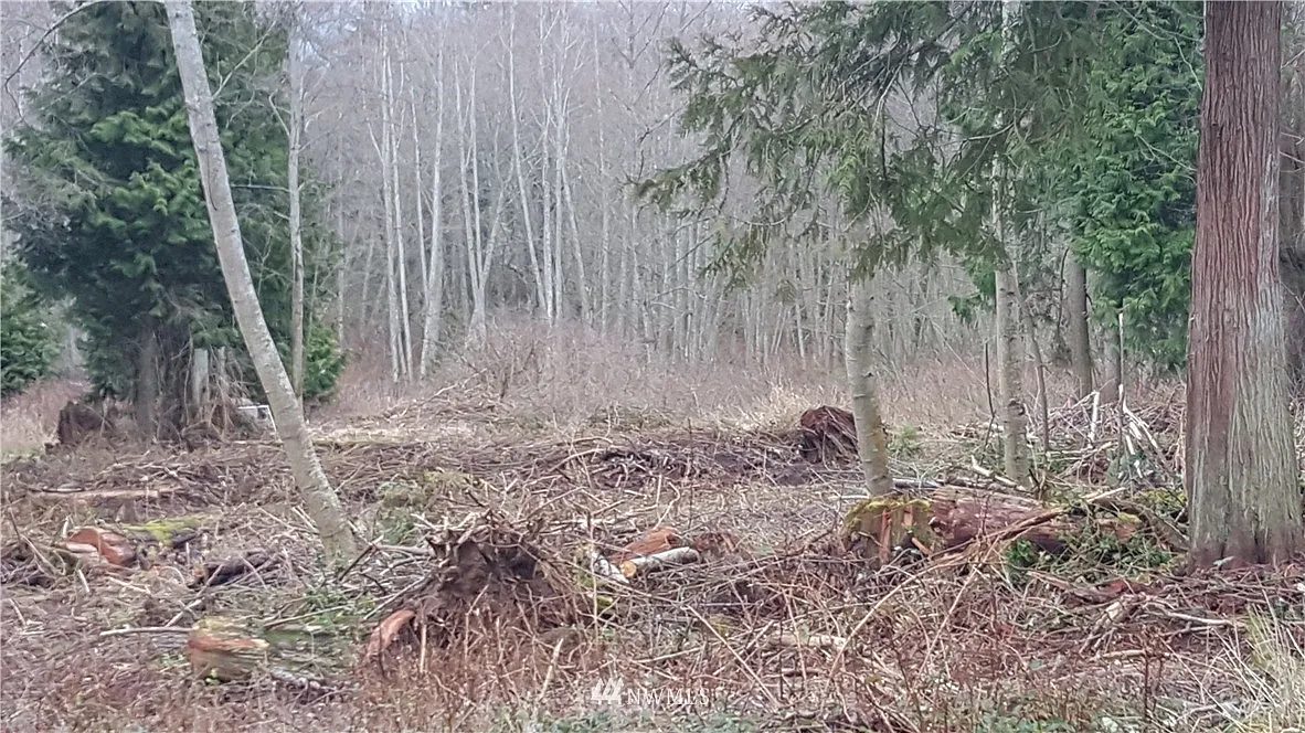 0 xxx Buck Lake Road photo 1