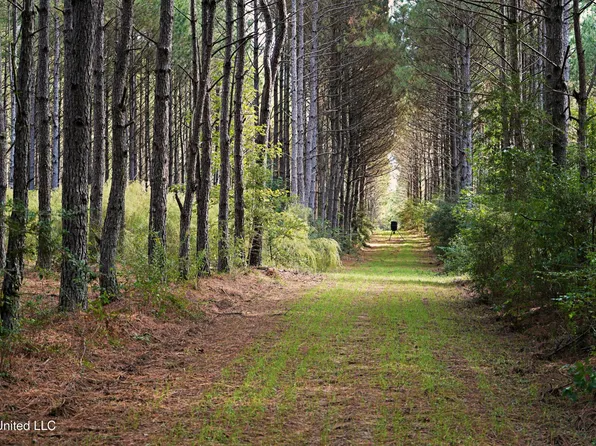 2093 Mallalieu Dr SE, Ruth, MS 39662