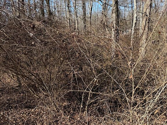 3rd image of 122 Hickory Hollow Rd