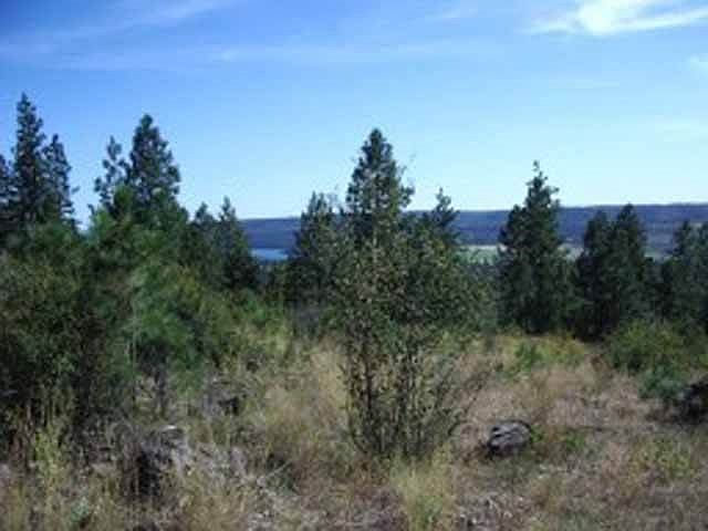 2nd image of Xx Pine Ridge Way