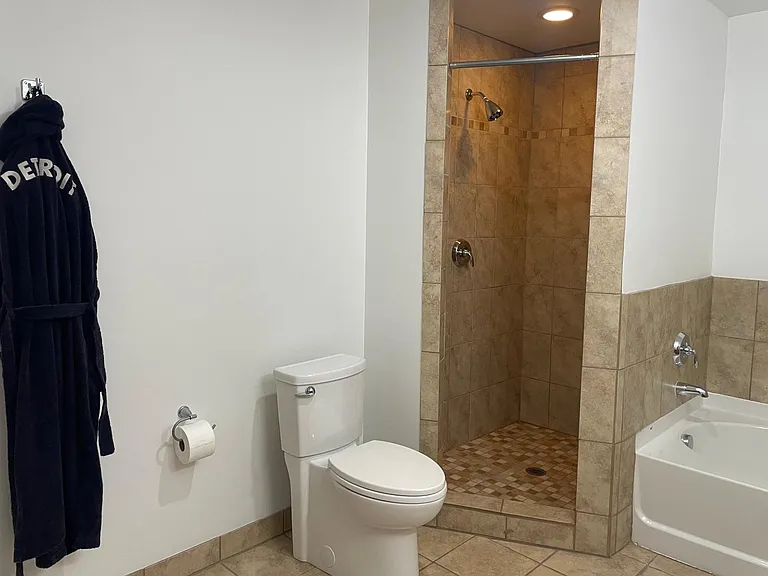 Master Bath Shower and Soaking Tub