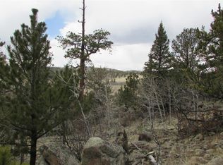 57 Flint Way, Como, CO 80456