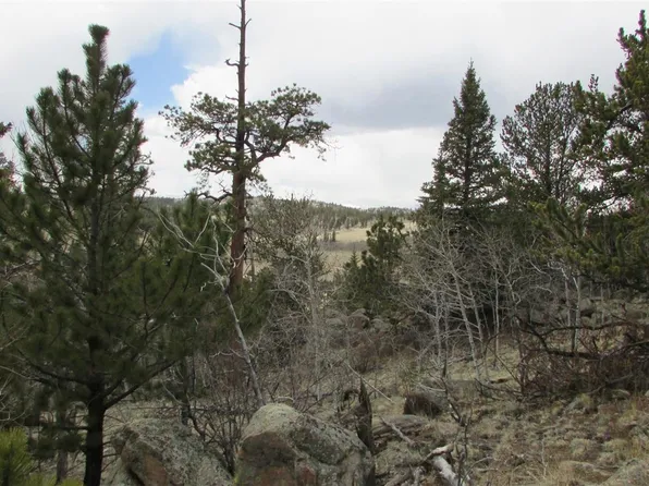 57 Flint Way, Como, CO 80456