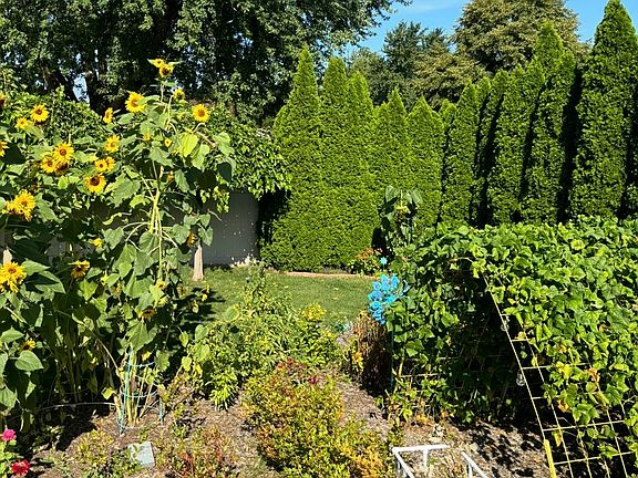 3rd image of 856 Quail Dr