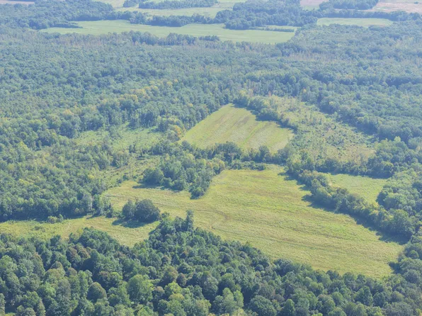 0 Dogtown Rd, Benton, KY 42025