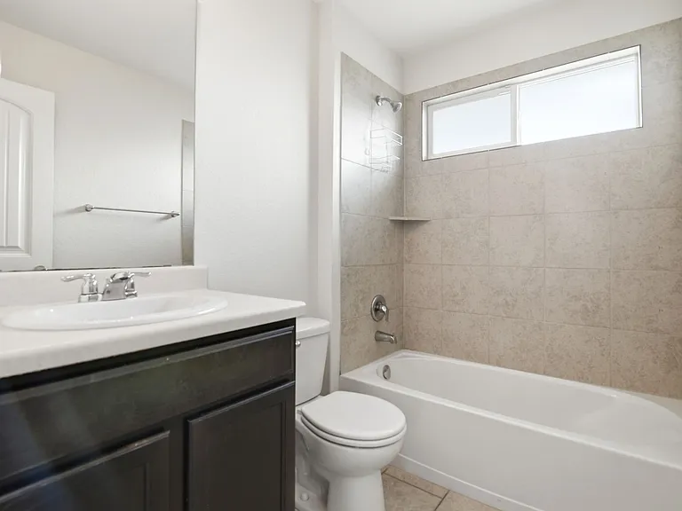 15441 Cooks Petrel — Photo 16