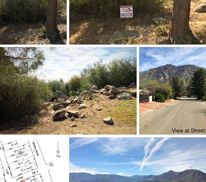 1st image of Pine Dr