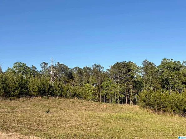 35 Queen Dr #5, Columbiana, AL 35051
