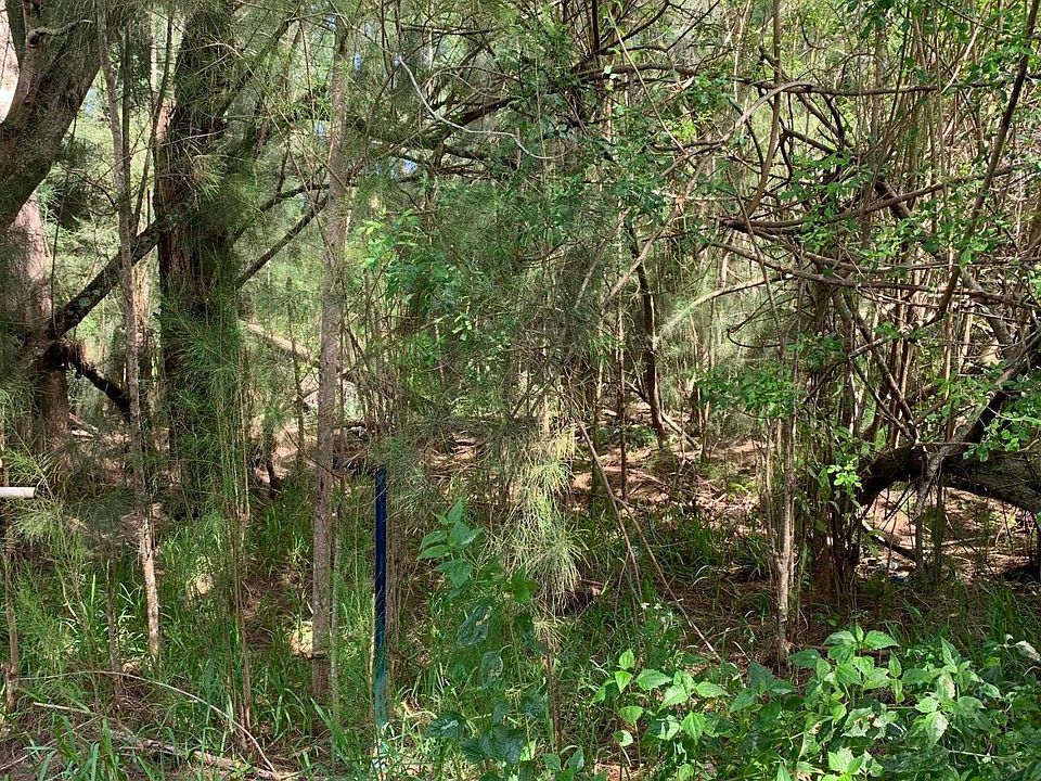 2nd image of 0 Limestone Road