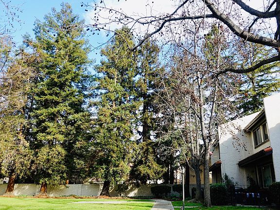 3rd image of 565 Giuffrida Ave