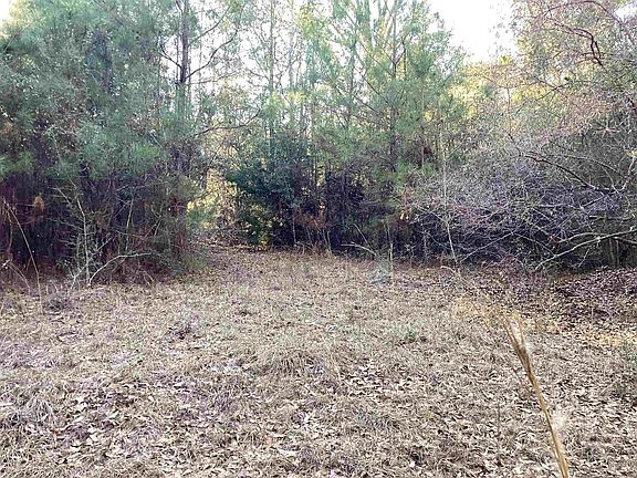 5th image of 67 McIntyre Rd