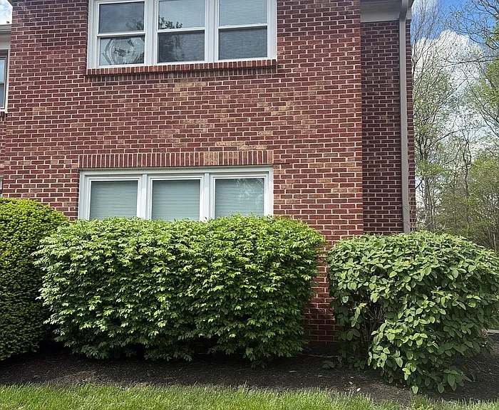 9110 Dominion Cir — Photo 1