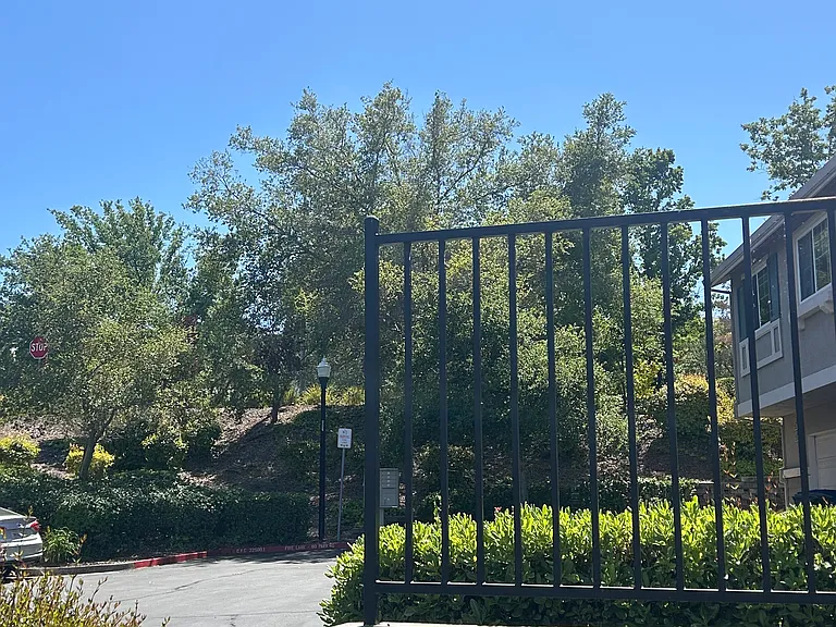 2210 Whitetail Ln — Photo 10