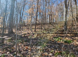 106 Laurel Way, La Follette, TN 37766