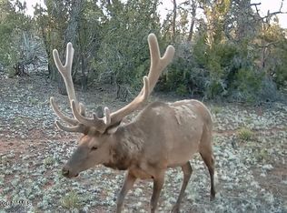 LOT-186B N Bull Run Rd, Williams, AZ 86046