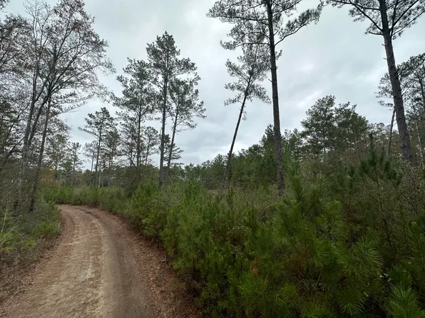 TRACT 6410 Douglas Ferry Rd W #4, Bonifay, FL 32425