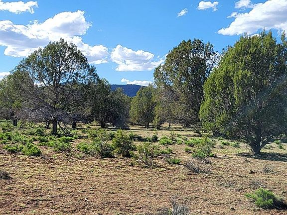 4th image of 80 S Rattlesnake Gulch -- #80