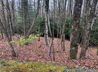 122 Kestrel Ct, Sapphire, NC 28774