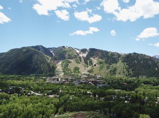 220 American Ln, Aspen, CO 81611