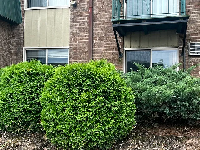 230 Springhill Dr #102 — Photo 12