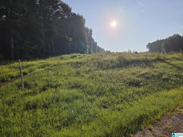 County Road 520 #1, Verbena, AL 36091