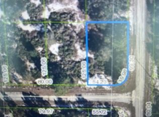 101 Hansen Ave, Lake Placid, FL 33852