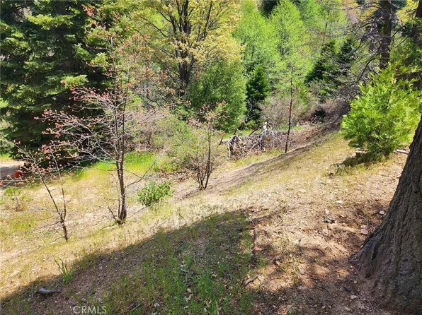 183 Alder Ln #23, Cedar Glen, CA 92321