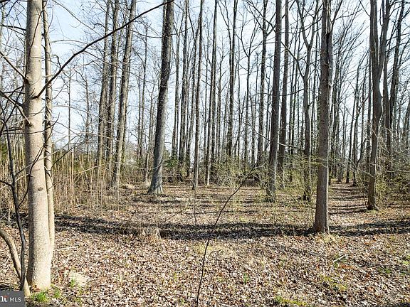 5th image of 3904 Goose Harbor Rd