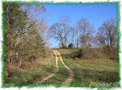 THIS PROPERTY GIVES "OVER THE HILL" A WHOLE NEW MEANING....CLICK ON THE NEXT 7 PHOTOS FOR YOUR SURPRISE! Cannot be seen by drive-by.