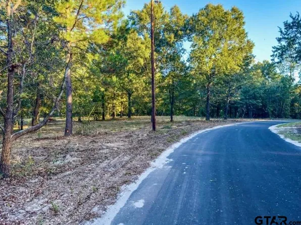 County Road 4590, Winnsboro, TX 75494