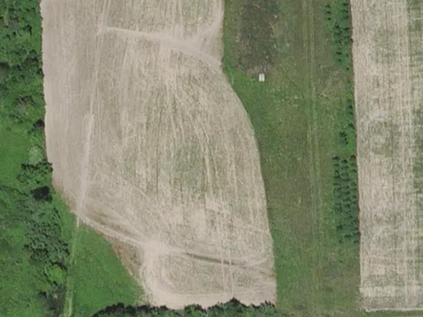 5647 Gardner Line Rd, Croswell, MI 48422