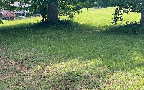 2nd image of Deerbrook Dr