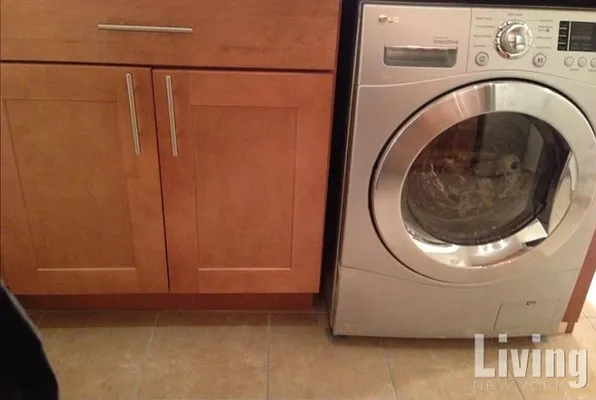 Rented by Living New York | media 21