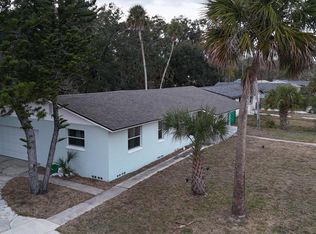 312 Hopkins Ave, Holly Hill, FL 32117