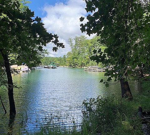 LOOKING UP THE COVE