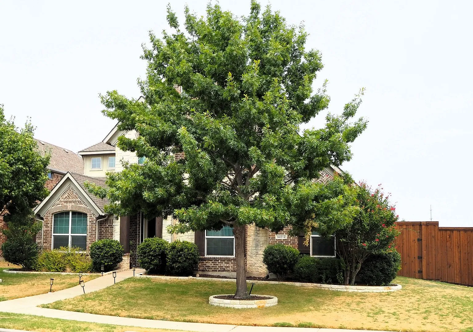 4 Bed 3 Bath Corner Lot near PGA Frisco Golf Resort — Photo 3