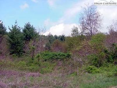 0 Grandview/Tayson Rd Drive, Sparta, NC, 28675