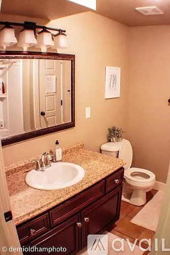 Basement Bathroom 3