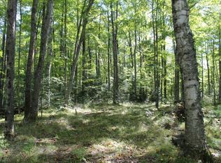 On Cth Ff, Mercer, WI 54547