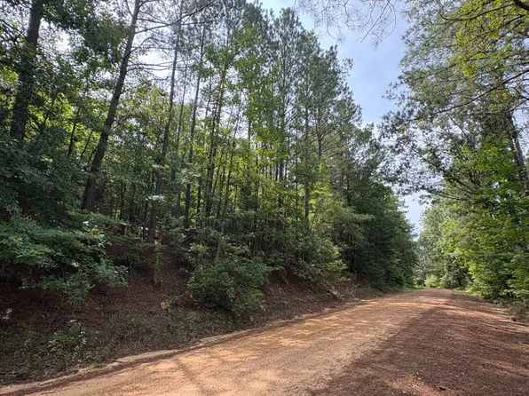 5530 Pine Springs Rd, Sulligent, AL 35586