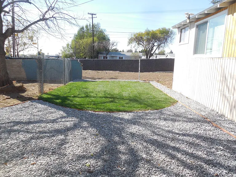 back yard