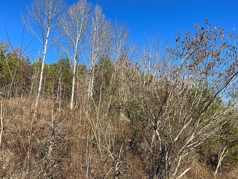 1st image of 0 Bluets Rd Lot 8