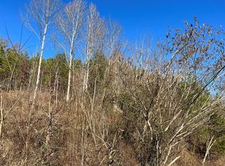 0 Bluets Rd LOT 8, Newport, TN 37821