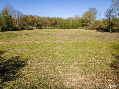 0 Wells Rd, Petersburg, MI, 49270