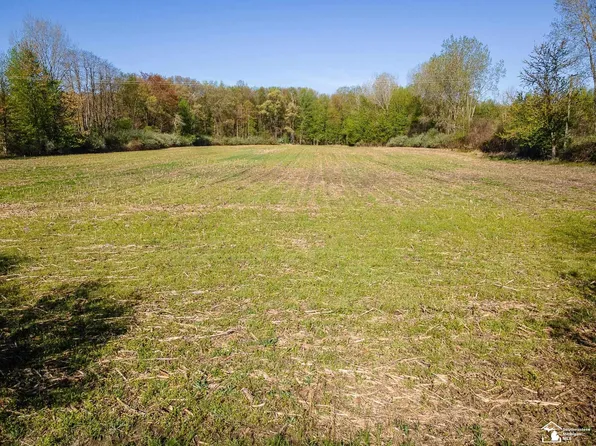 0 Wells Rd, Petersburg, MI 49270