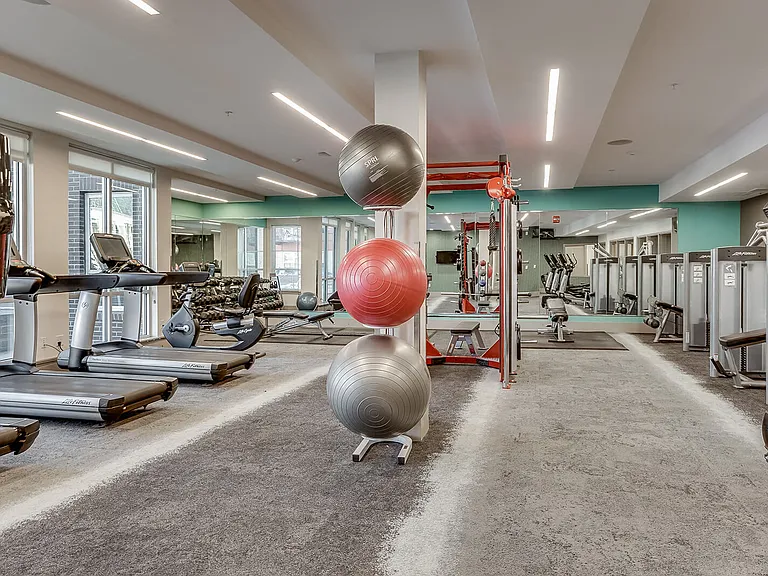You'll find all the cardio and strength training equipment you need here