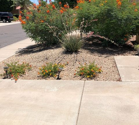5th image of 7815 W Julie Dr