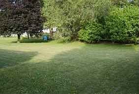 1/4 acre large lot with mature trees in quiet neighborhood